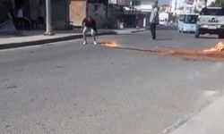 Ürününü sokak ortasında yaktı