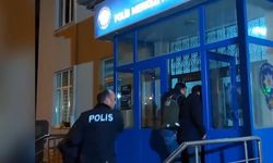 Yılkı atlarını fotoğralamak isteyince...