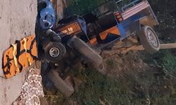 Yine patpat faciası