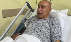 Zehirli mantar hastanelik etti