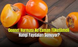 Cennet Hurması Ne Zaman Tüketilmeli Hangi Faydaları Sunuyor?