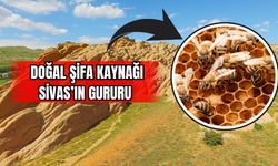 Doğal Şifa Kaynağı Sivas'ın Gururu