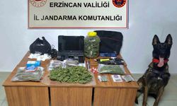 Jandarma suç olaylarına geçit vermiyor