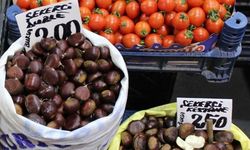 Kışın vazgeçilmesi kuzular el de, cep de yakıyor