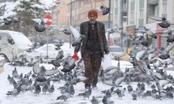 Rüyasında gördü, kendini kuşlara vakfetti