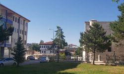 Sivas Kale ve Gökmedrese çevresi de bakıma muhtaç