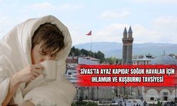 Sivas'ta Ayaz Kapıda! Soğuk Havalar İçin Ihlamur ve Kuşburnu Tavsiyesi