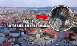 Sivas'ta Doktor Balıklarla Şifa Bulmak