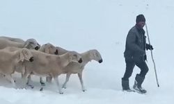 Sivas'ta meralarda mahsur kaldılar