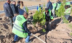 Sivas'ta mevsimlik işçilerden hatıra ormanı