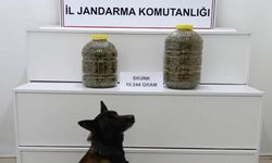 Sivas'ta valizden uyuşturucu çıktı