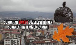 Sonbahar Sivas'ı Güzelleştirirken Sokaklarda Temizlik Zamanı