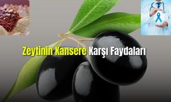 Zeytinin Kansere Karşı Faydaları 