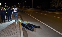  Kardeşini korumak isteyen ağabey, otomobilin çarpmasıyla hayatını kaybetti 