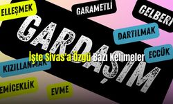 Sivas'ın Renkli Dili Yöresel Kelimeler ve Anlamları