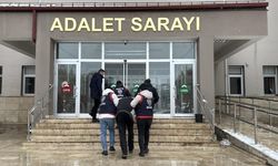 Sivas'ta anne katili Adliye'de