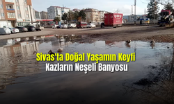  Sivas'ta Kazların Neşeli Banyosu Doğal Yaşamın Renkli Anları