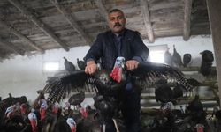 Sivas'ta hindi rağbet görmedi