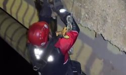 Sivas'ta Kedi Kurtarma Operasyonu Yapıldı