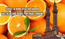 Sivas'ta Kuru Ayazlar Kapıda Hastalıklara Karşı Portakal Zamanı!