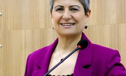 Sivas'ta terapi gibi konferans