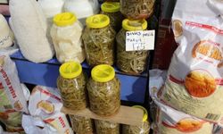 Sivas'ta vazgeçilmez turşu: Pezik Turşusu