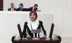 Sivas vekili Toy'dan LGBT çıkışı