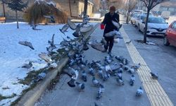 Sivasta hayatını kuşlara adayan adam