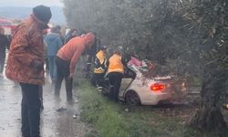 Tanker ile otomobil kafa kafaya çarpıştı,