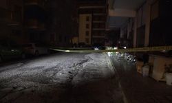  Alacak verecek meselesi kanlı bitti 
