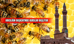 Arıcılığın başkentinde kurslar başlıyor