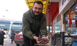 Çürüyünce yenilen meyve tezgahlarda