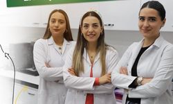 Divriği'nin 150 yıllık üzüm bağları canlanacak