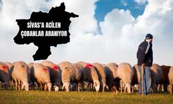Sivas'a acilen çobanlar aranıyor