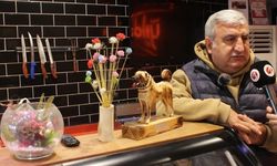 Sivas'ın doğal ortamı Sivas'ı ette bir numara yaptı