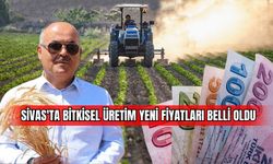 Sivas'ta bitkisel üretim yeni fiyatları belli oldu