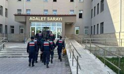 Sivas'ta Jandarma 50 şüpheli yakaladı