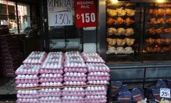 Tavuk mu yumurtadan, yumurta mı tavuktan