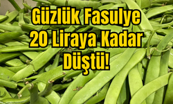 Güzlük Fasulye 20 Liraya Kadar Düştü!