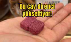 Bu çay direnci yükseltiyor!