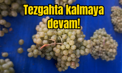 Tezgahta kalmaya devam!