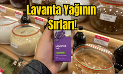 Lavanta Yağının Sırları!