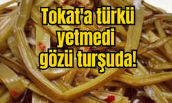 Tokat'a türkü yetmedi gözü turşuda!