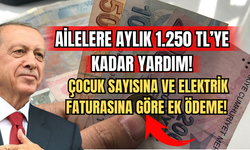 Ailelere Aylık 1.250 TL'ye Kadar Yardım! Çocuk Sayısına ve Elektrik Faturasına Göre Ek Ödeme!