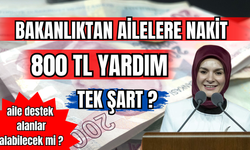 Ailelere 800 TL Nakit Yardım! Ödemesi Nasıl Alınır? 