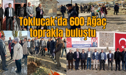 Toklucak'da 600 Ağaç toprakla buluştu (Video Haber)