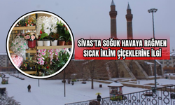 Sivas'ta Soğuk Havaya Rağmen Sıcak İklim Çiçeklerine İlgi