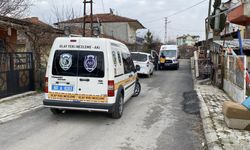 Baltalı Katil Tutuklandı