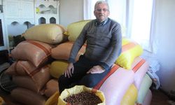 Türkiye fındığının yüzde 15'i üreticinin evinde