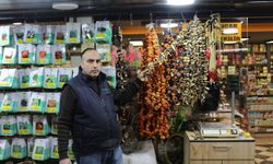 Sivas'ta Baharatçılar, Bitkilerin Gücüne Dikkat Çekiyor